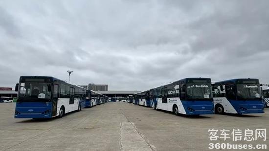 1729830537919916.jpg 3.jpg