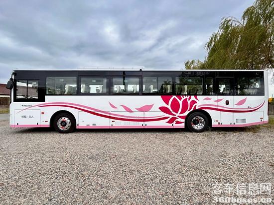 1730171105478471.jpg 3.jpg