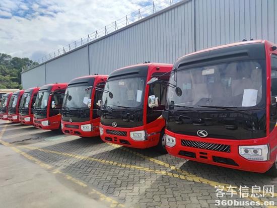 1730172282681332.jpg 1.jpg