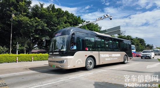 1731287429369728.jpg 7.jpg