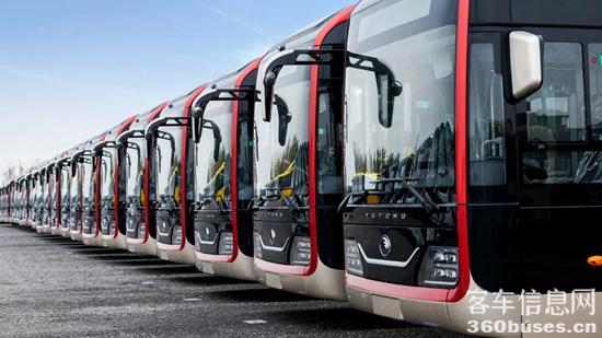 1732242045420133.jpg 4.jpg