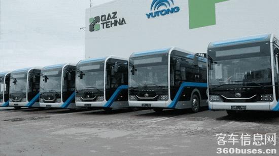 1732845499430892.jpg 3.jpg