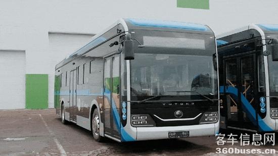 1732845520195935.jpg 6.jpg