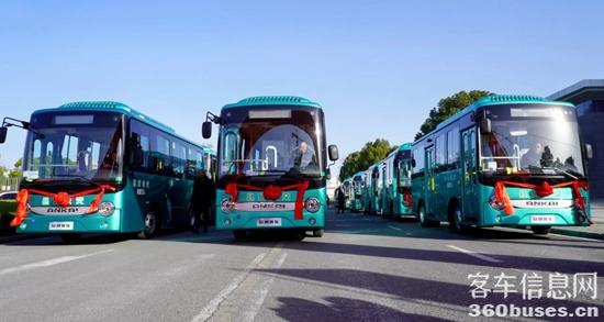 1732848996879729.jpg 5.jpg