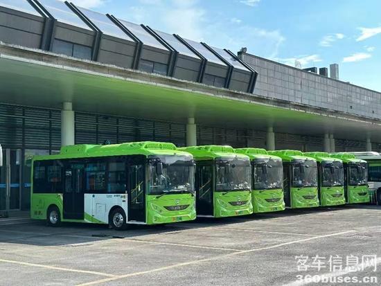 1733107476222974.jpg 5.jpg