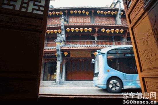 1733452954555826.jpg 7.jpg