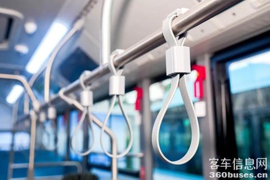 1733452999380386.jpg 13.jpg