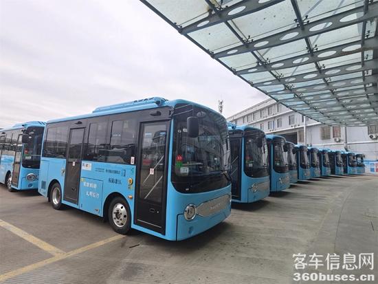 1733970519970874.jpg 2.jpg