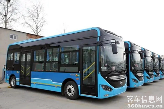 1733975980528076.png 1.webp.png