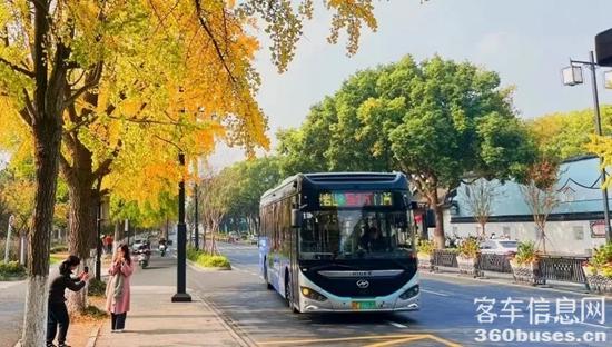 1734073891684126.jpg 1.jpg