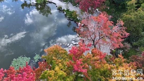 1734073927612934.jpg 2.jpg