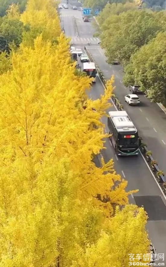 1734074041109529.jpg 3.jpg