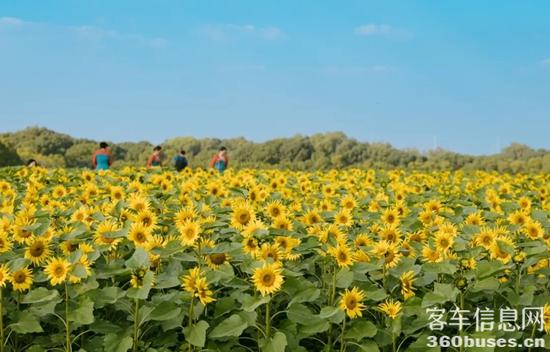 1734074526822368.jpg 4.jpg