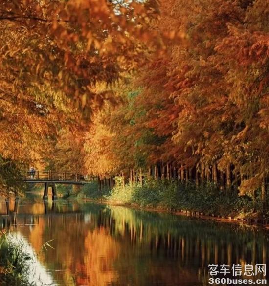 1734074648692951.jpg 5.jpg