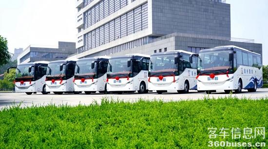 1734506393576659.jpg 3.jpg