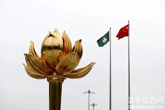 1734661782375664.jpg 1.jpg