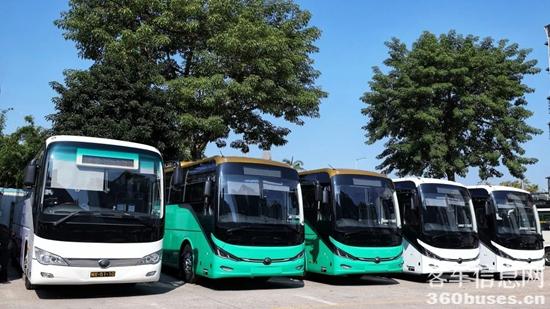 1734661810980579.jpg 4.jpg