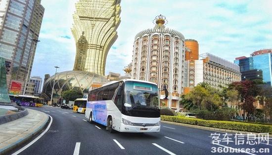 1734661823446456.jpg 6.jpg