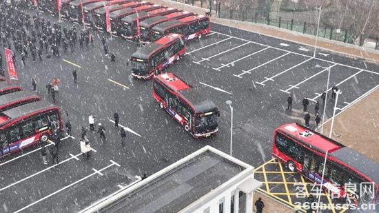 1734691556479509.jpg 11.jpg