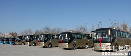 1735298453531123.jpg 2.jpg