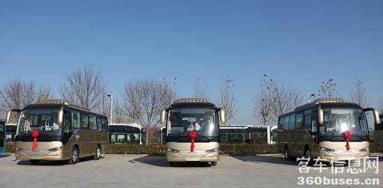 1735298464992994.jpg 3.jpg