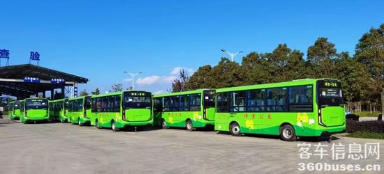 1735298508831257.jpg 9.jpg