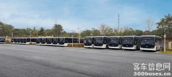 1735606879839561.jpg 6.jpg