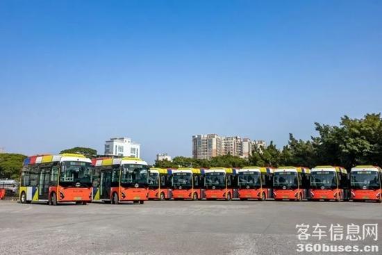 1735608070941405.jpg 5.jpg