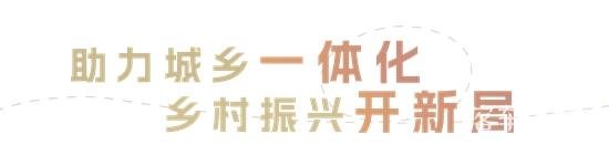 1735611471528786.jpg 4.jpg