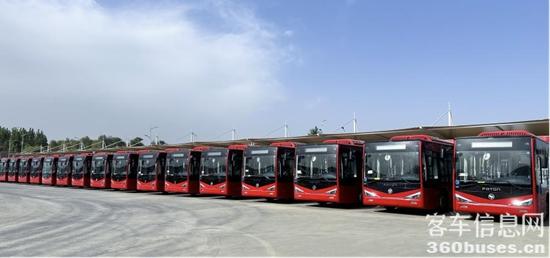 1735797781900078.jpg 5.jpg