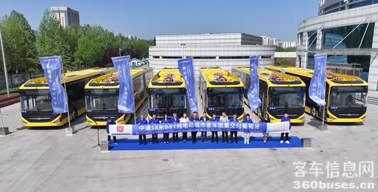 1736129619573335.jpg 葡萄牙N18.jpg