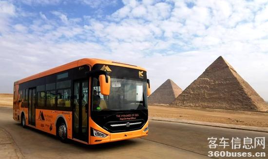1736129647705029.jpg 埃及金字塔景區(qū)的中通新能源客車.jpg