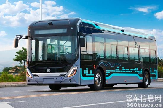 1736823296458947.jpg 7.jpg