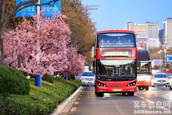 1736918490394264.jpg 2.jpg