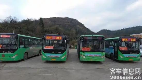 1736998383501401.jpg 1.webp.jpg