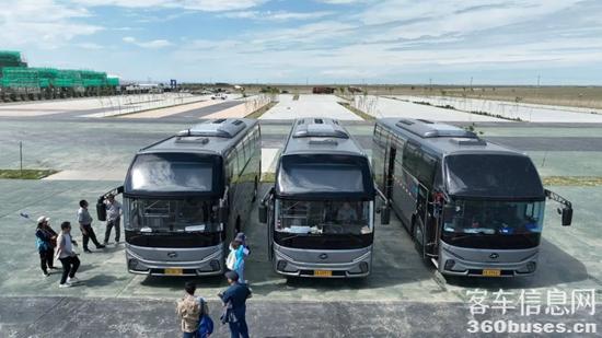 1737008795558433.jpg 8.jpg