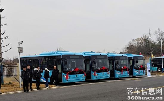 1737337631622138.jpg 3.jpg