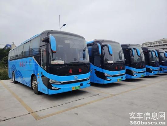 1737680484494139.jpg 1.jpg