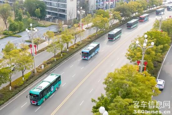 1737765835406504.jpg 4.jpg