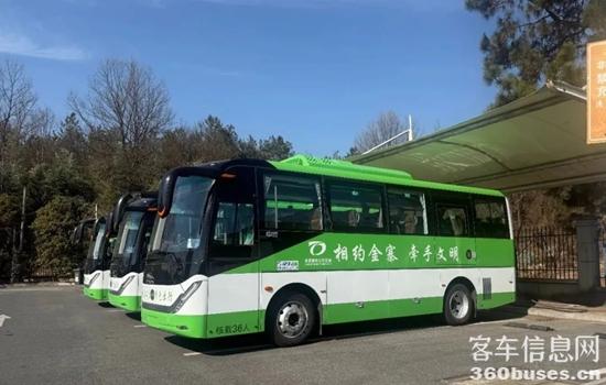 1739185322137689.jpg 5.jpg