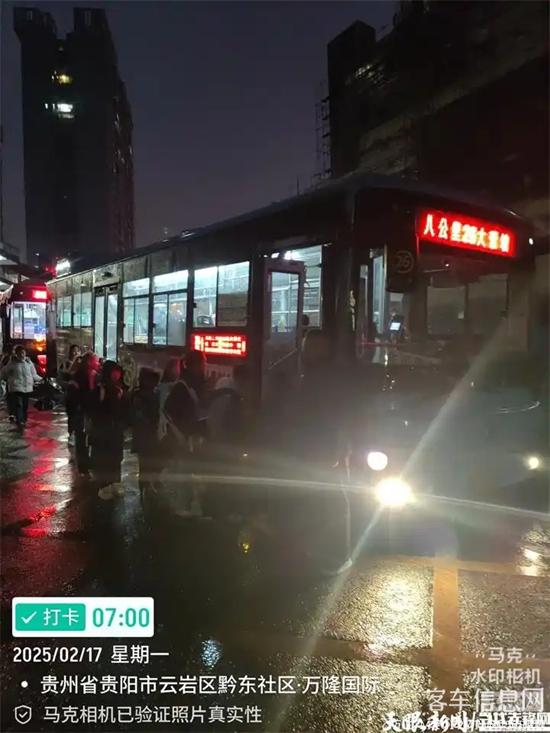 1739944402462810.jpg 2.webp.jpg