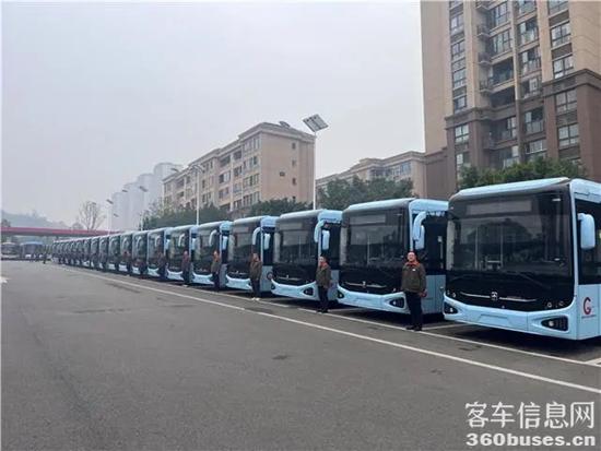 1740016184146866.jpg 1.jpg