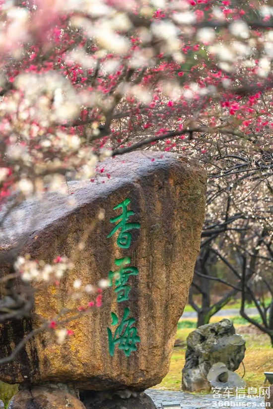 1740460031328193.png 2.png