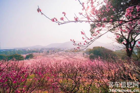 1740460050713210.png 3.png