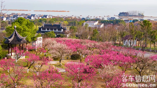 1740460319239010.png 9.png