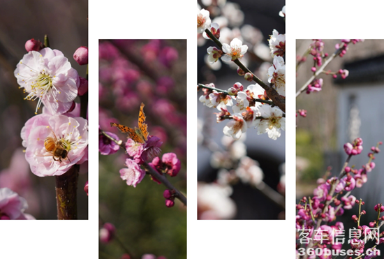 1740460325488681.png 10.png