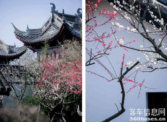 1740460435402269.png 14.png