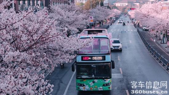 1741673049899221.jpg 17.jpg