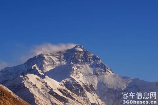 1741829945558528.jpg 1.jpg