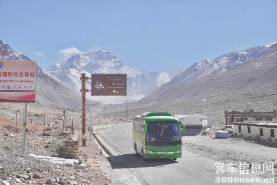 1741829998996548.jpg 4.jpg